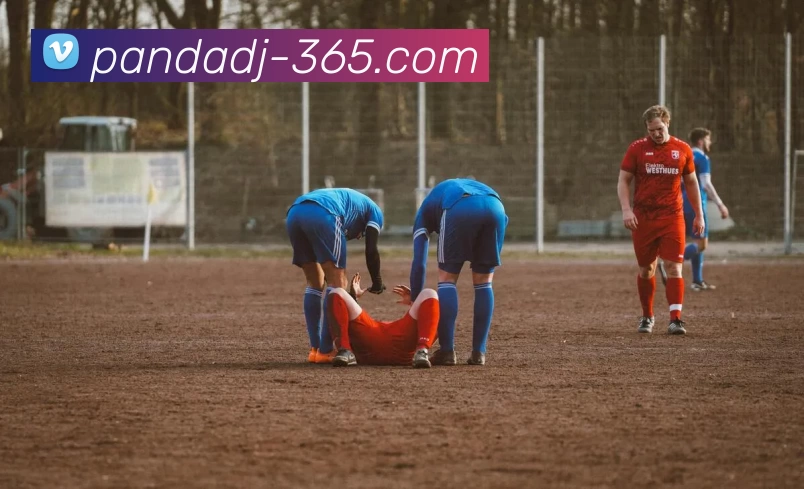 多媒体互动体验